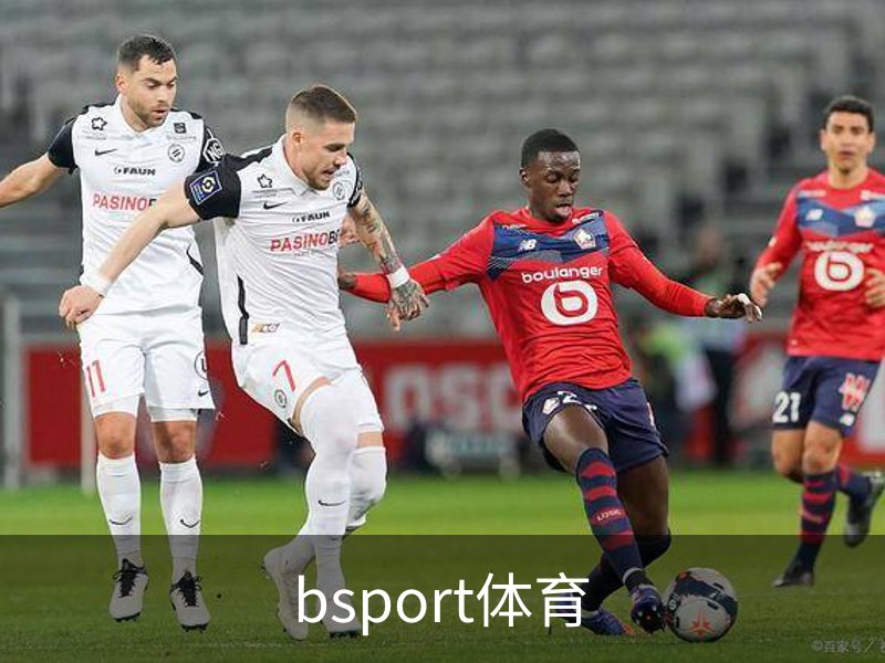 bsport体育品牌故事